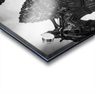 scott monument  vertical 4684 Monument 13k Acrylic print