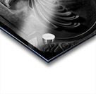 door at the louvre  horizontal 2482 Porte 13k Acrylic print