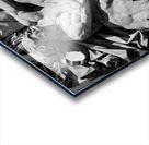 le paix relief on arc de triomphe  horizontal 346 Acrylic print