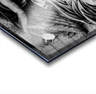 le triomphe relief on arc de triomphe  horizontal Acrylic print