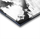 coney island pier  vertical 362 Gull 13k Acrylic print