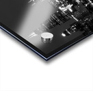 downtown chicago skyline from adler planetarium   1708121836.0523 Acrylic print