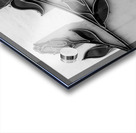 rose bowl pasadena  horizontal 2193 Rose 13k Acrylic print