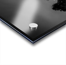 macarthur park at night  horizontal 2199 Urine 13 Acrylic print