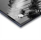 tall palm trees echo park  vertical 2182 Montrose Acrylic print