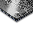 seal of boston public garden gates  vertical 1371 Acrylic print