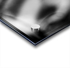 texas cowboy boot in stirrup  panoramic 818 Stirr Acrylic print