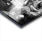 stockyard cattle drive  horizontal 803 Drive 13k. Acrylic print