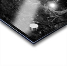 rice university at night  horizontal 938 Rice 13k Acrylic print