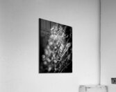 paris love locks at night  vertical 2484 Jevelle Acrylic Print