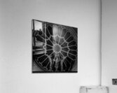 rose on notre dame de paris  square 2479 Rose 13k Acrylic Print