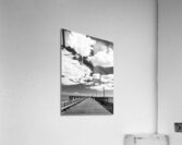 coney island pier  vertical 362 Gull 13k Acrylic Print