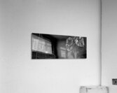 chicago art institue lion  panoramic 1195 Institu Acrylic Print