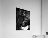 downtown chicago daley plaza  vertical 1209 Plaza Acrylic Print