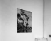 tall palm trees echo park  vertical 2182 Montrose Acrylic Print