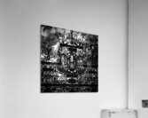 harvard gate  square 1379 Gate 13k Acrylic Print