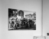 stockyard cattle drive  horizontal 803 Drive 13k. Acrylic Print