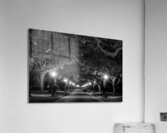 rice university at night  horizontal 938 Rice 13k Acrylic Print