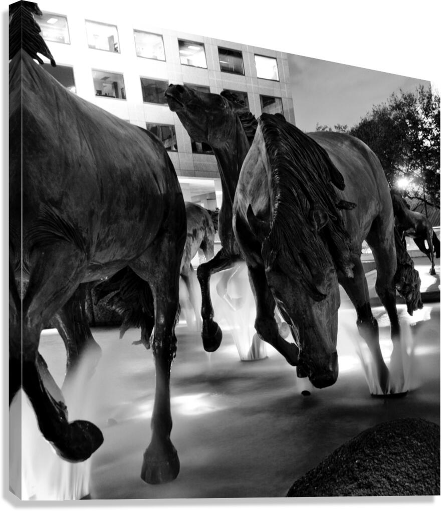 mustangs of las colinas at night  square 785 Must Canvas Print