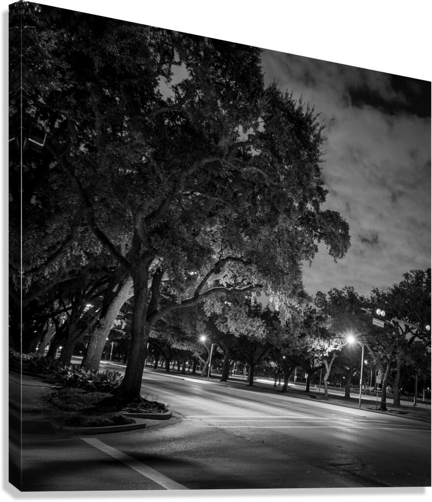 rice university main and fanin intersection  squa Canvas Print