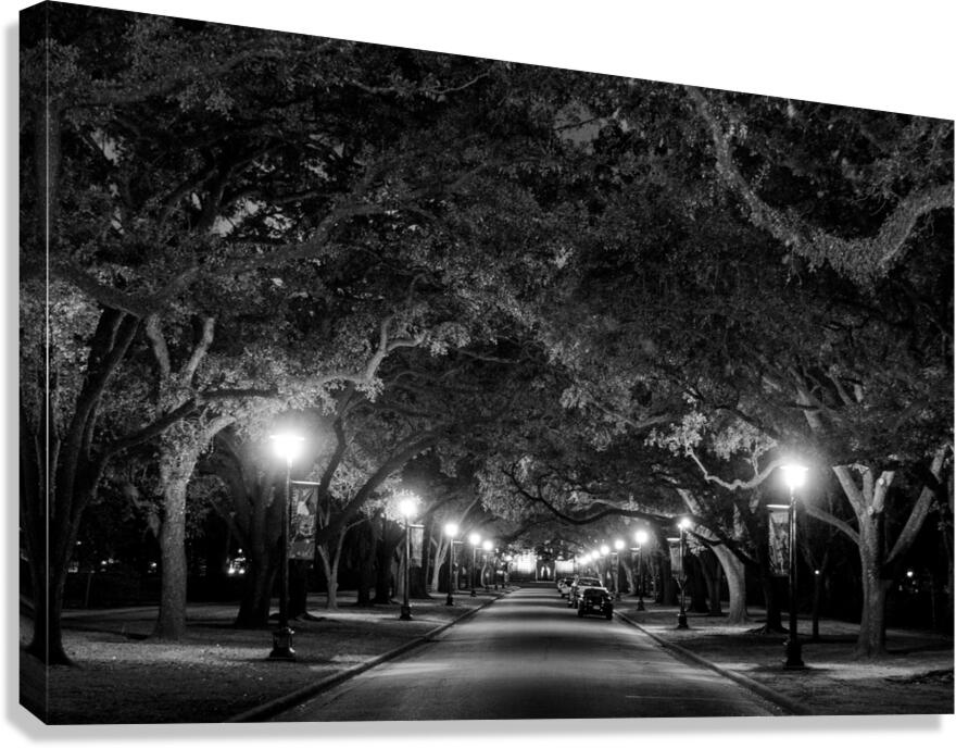 rice university at night  horizontal 938 Rice 13k Canvas Print