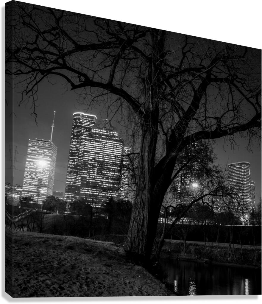 houston skyline in buffalo bayou  square 934 Oak Canvas Print