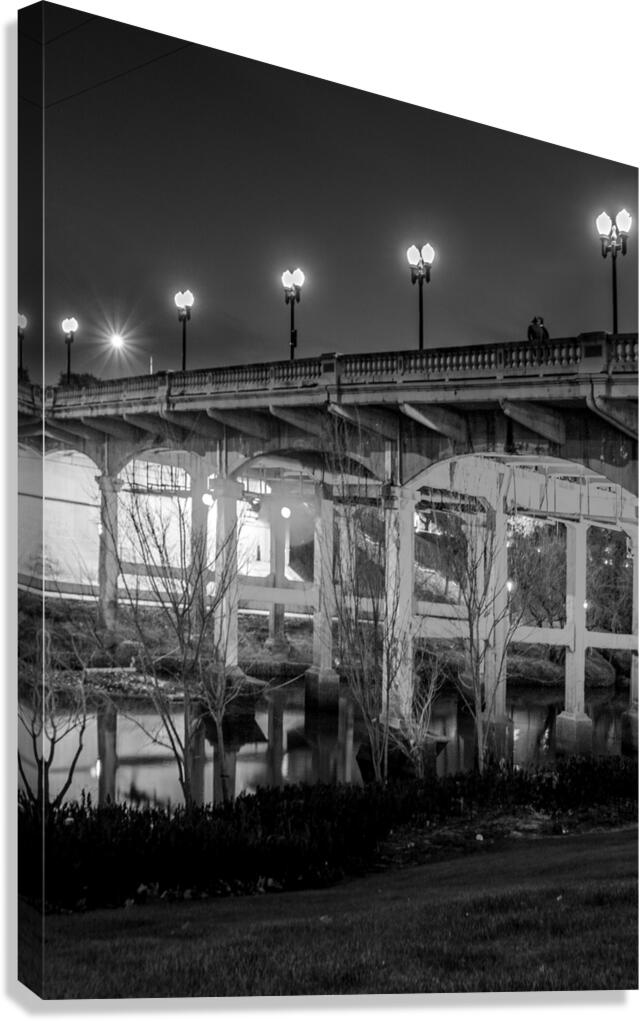 sabine bridge elanor tinsley park  vertical 3282 Canvas Print