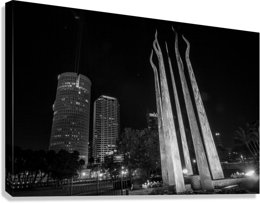 sticks of fire plant museum at night  horizontal Canvas Print