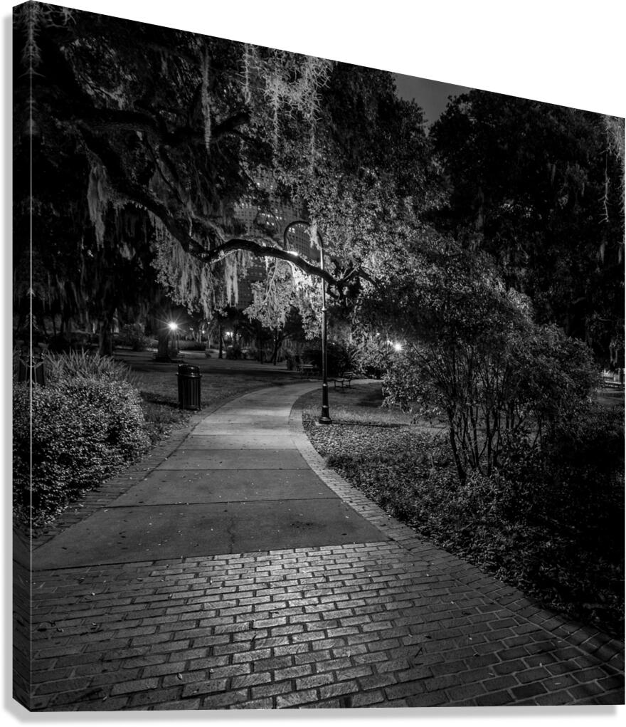 spanish moss plant museum  square 1116 Spanish 13 Canvas Print