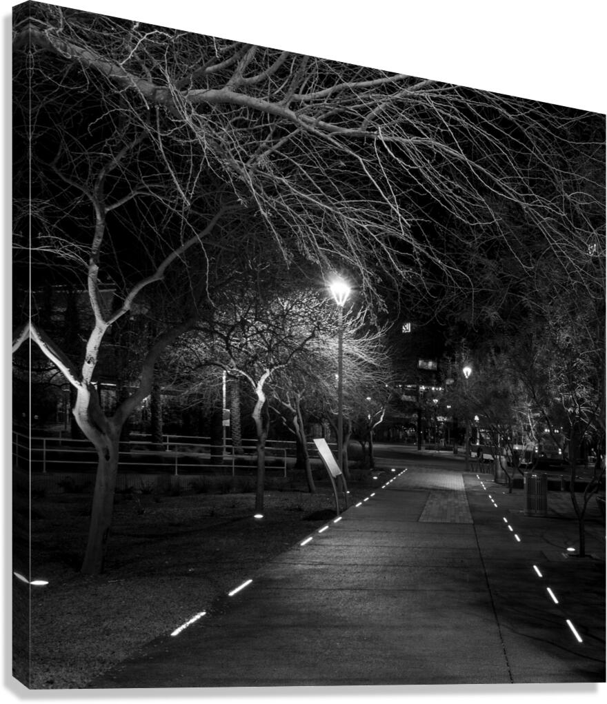 lit path near phoenix central station  square 195 Canvas Print