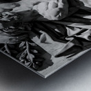 le paix relief on arc de triomphe  horizontal 346 Metal print