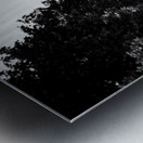 le defense from champs elysees  panoramic 3452 De Metal print