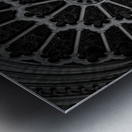 rose on notre dame de paris  square 2479 Rose 13k Metal print