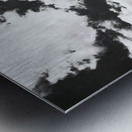 coney island pier  vertical 362 Gull 13k Metal print