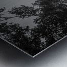 the mall central park  vertical 1466 Mall 13k Metal print