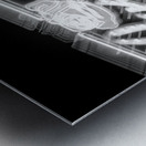 rosebud on rush  square 78 Rosebud 13k Metal print