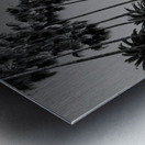 tall palm trees echo park  vertical 2182 Montrose Metal print