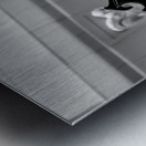 via rodeo and rodeo drive  vertical 2192 Rodeo 2 Metal print