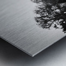 george washington statue public garden  square 13 Metal print