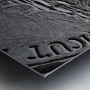 seal of boston public garden gates  vertical 1371 Metal print