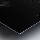 bronze cattle drive  horizontal 2118 Drive 13k.jp Metal print