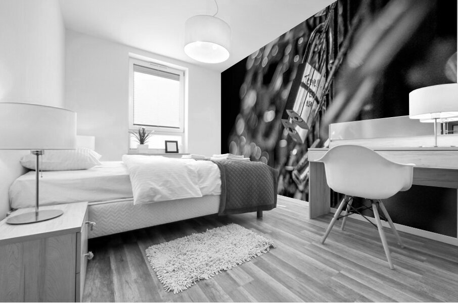 paris love locks at night  vertical 2484 Jevelle Mural print