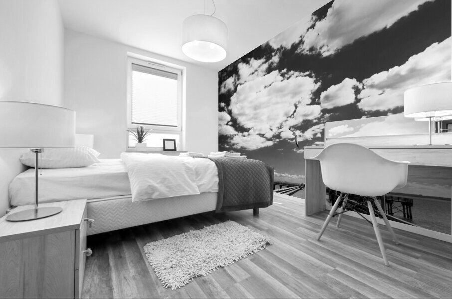 coney island pier  square 362 Gull 13k Mural print