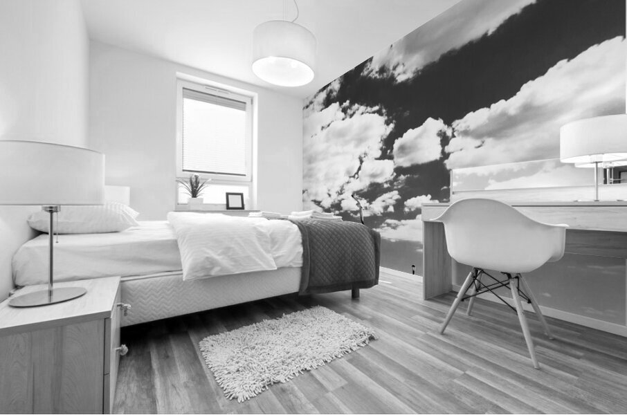 coney island pier  vertical 362 Gull 13k Mural print