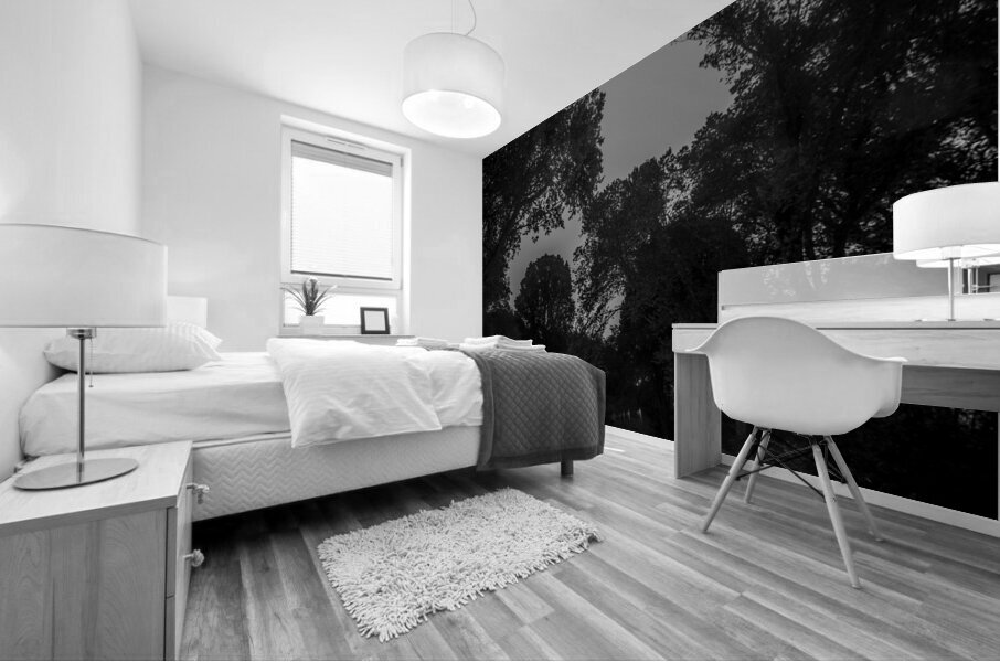 the mall central park  vertical 1466 Mall 13k Mural print