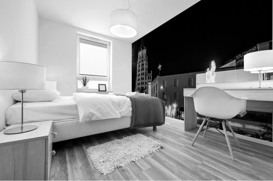 hollywood museum first national building  square Mural print