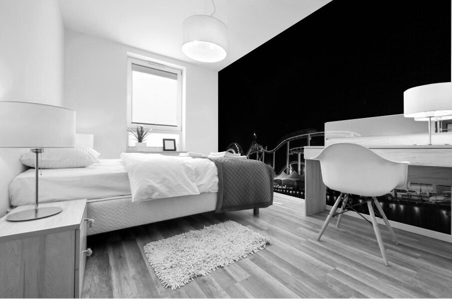 santa monica pier at night  square 2756 Spiral 13 Mural print