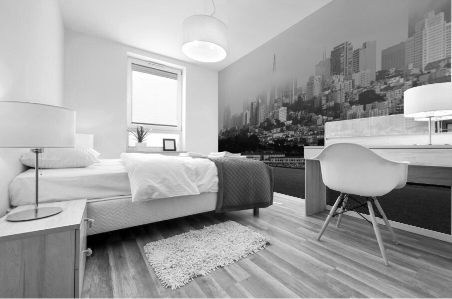 downtown san francisco under fog  panoramic 2836 Mural print