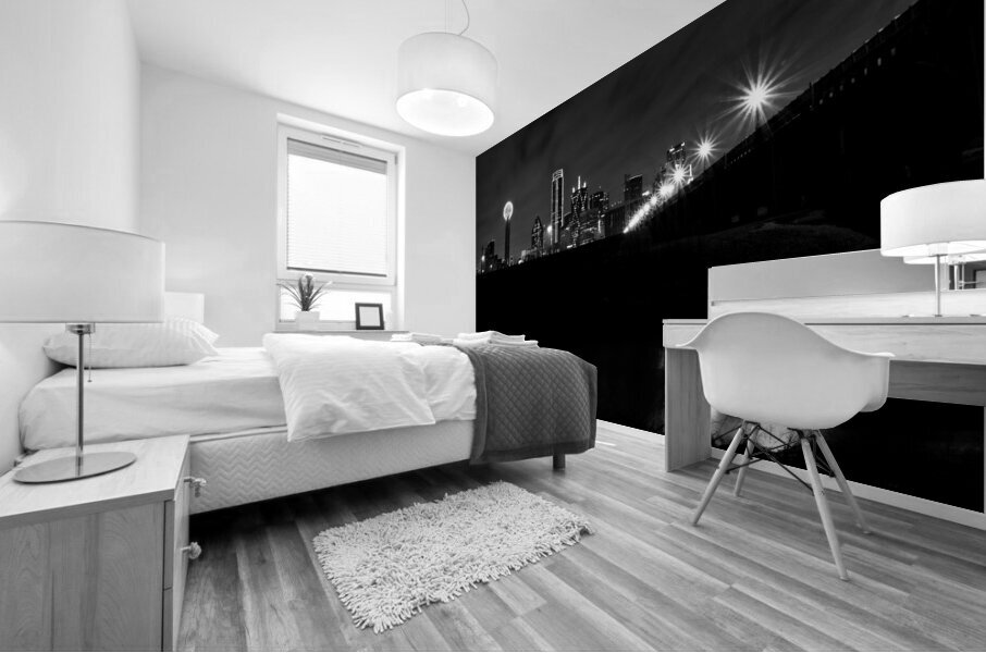 dallas skyline from trinity riverbed  horizontal Mural print