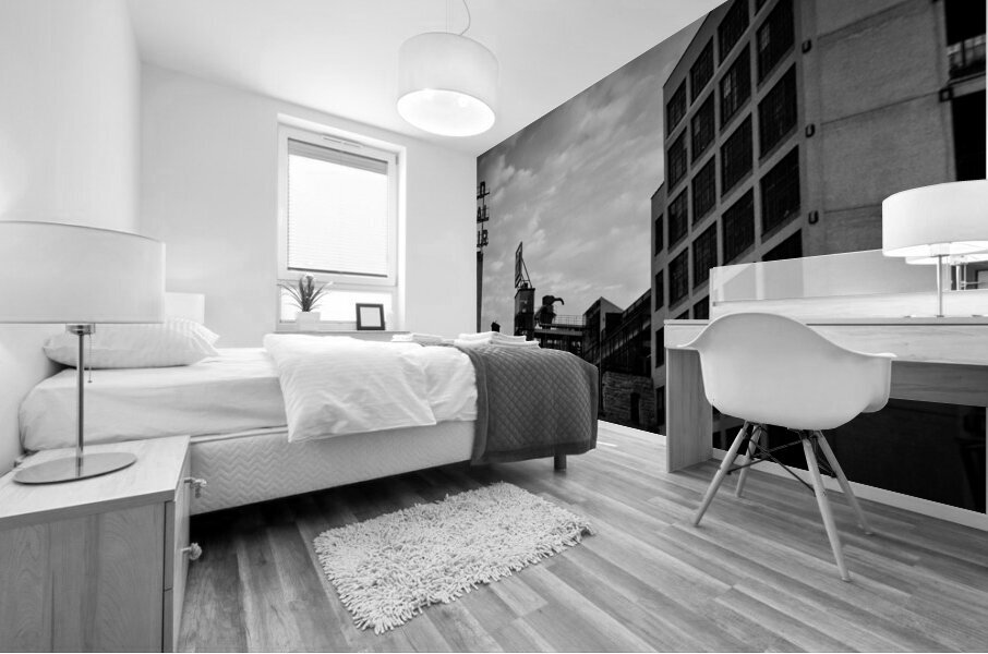 mill city ruins  panoramic 1713 Ruins 13k Mural print